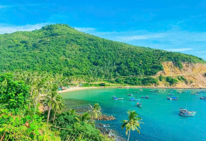 Bãi Cây Mến An Sơn